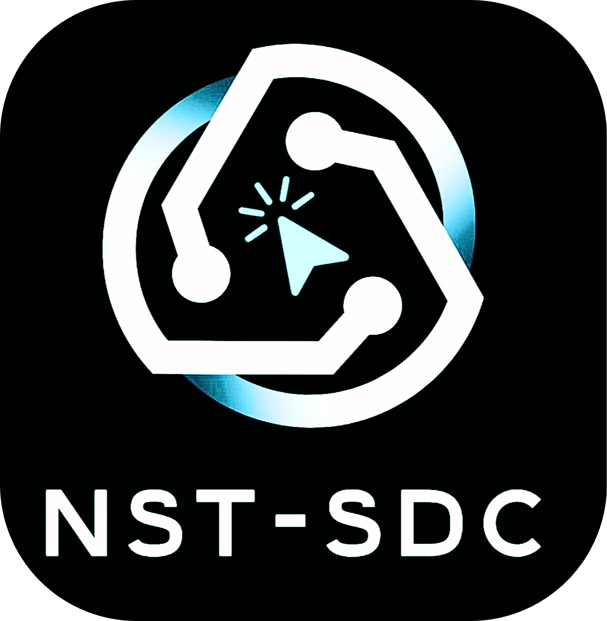 NST-SDC Logo